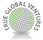 TRUE GLOBAL VENTURES 4 PLUS